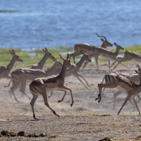 Jackalberry Chobe Hotel Kasane Exterior foto